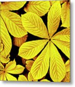 Yellow Autumn Leaves Metal Print