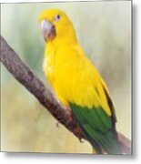 Yellow Green Parrot Bird 83 Metal Print