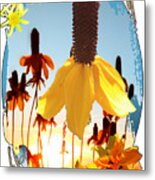 Yellow Mexican Hat Summer Flower Collage Metal Print