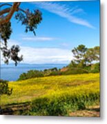 Yellow On The Bluffs Metal Print