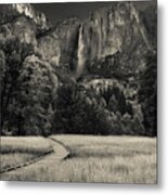 Yosemite Meadow Metal Print