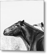 You Mean The World To Me - Horse Art Metal Print