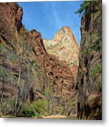 Zion National Park Artistic 2021 Metal Print