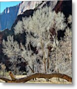 Zion National Park Riverside Trees Metal Print