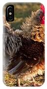 Frizzle Rooster IPhone Case