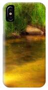 Golden Reflections IPhone Case