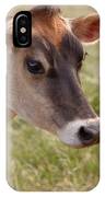 Jersey Cow Portrait IPhone Case