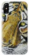 Tiger Painting IPhone Case