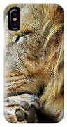 The Lions Sleeps IPhone Case