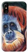 Wise One - Orangutan Wildlife Painting IPhone Case