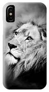 Lion - Pride Of Africa II - Tribute To Cecil In Black And White IPhone Case