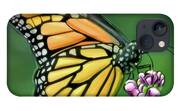 Wonderful Butterfly - iPhone Case Product by Matthias Zegveld
