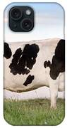 Holstein Dairy Cow Photograph by Cindy Singleton - Fine Art America