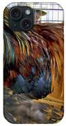 Rooster Feathers Zip Pouch by Iris Posner - Fine Art America