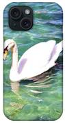 Sunny Swan Photograph by Christopher James - Fine Art America