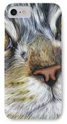 Stunning Cat Painting IPhone Case by Michelle Wrighton
