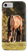 Grazing Horse At Sunset IPhone Case by Michelle Wrighton