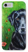 Poppy - Labrador Dog In Poppy Flower Field IPhone Case by Michelle Wrighton
