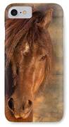 Shetland Pony At Sunset IPhone Case by Michelle Wrighton