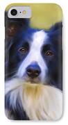 Beautiful Border Collie Portrait IPhone Case by Michelle Wrighton