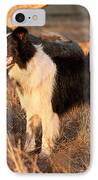 Border Collie At Sunset IPhone Case by Michelle Wrighton