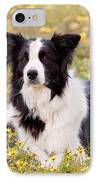 Border Collie In Field Of Yellow Flowers IPhone Case by Michelle Wrighton
