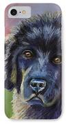Rainbows And Sunshine - Newfoundland Puppy IPhone Case by Michelle Wrighton
