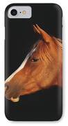 Soulful Gaze Of A Horse IPhone Case