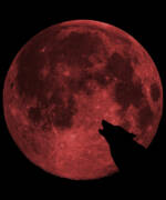 Wolf Howling Blood Moon Poster