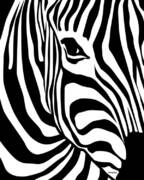 Zebra Digital Art by Ron Magnes - Fine Art America