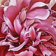 Abstract Peony Poster