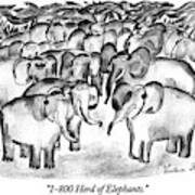 1-800 Herd Of Elephants Poster