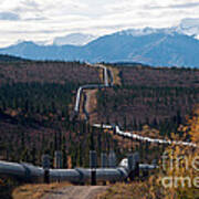 Alaska Oil Pipeline #1 Poster