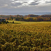 Autumn On Old Mission Peninsula  #1 Poster