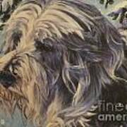 Bearded Collie #1 Poster