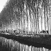 Belgium, Tree Lined Waterway #1 Poster