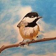 Black Capped Chickadee #1 Poster