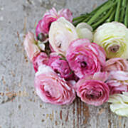 Bouquet Of Pink Ranunculus #1 Poster