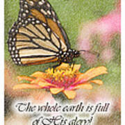 Butterfly Scripture #1 Poster