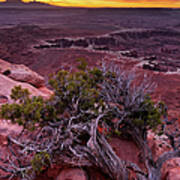 Canyonlands Sunrise Landscape With Dry #1 Poster