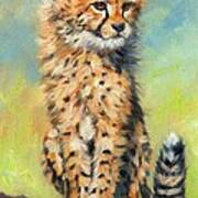 Cheetah Cub #2 Poster