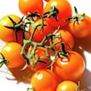 Cherry Tomatoes 'orange Paruche' #1 Poster
