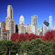 Chicago Skyline And Millennium Park #1 Poster