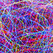 Christmas Lights, String Theory #1 Poster