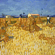 Corn Harvest In Provence #8 Poster
