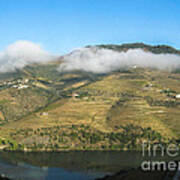 Douro River Valley #1 Poster