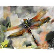 Dragonfly Garden #1 Poster