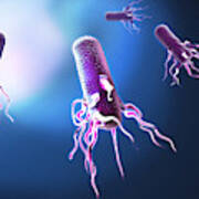 E. Coli With Flagella, Illustration #1 Poster