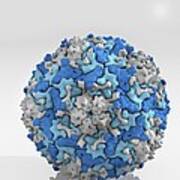 Enterovirus Particle #1 Poster
