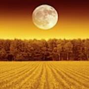 Full Moon Over A Field #1 Poster